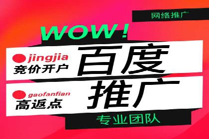 百度SEO推广的五大成功企业案例
